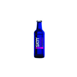 Skyy Arandano 275ml P/24 Pza